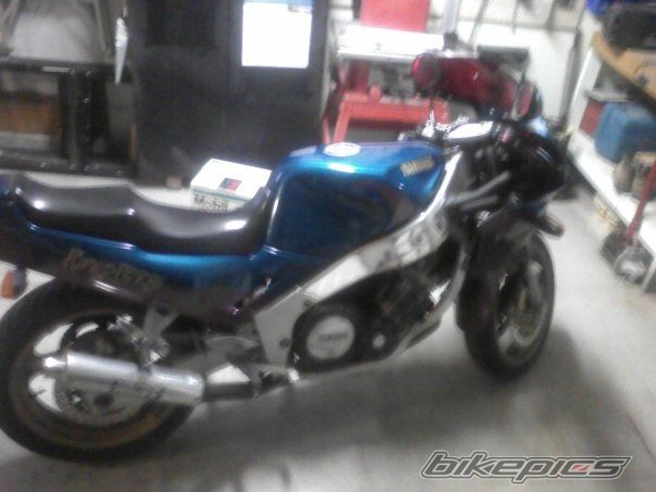 Photo 1546233