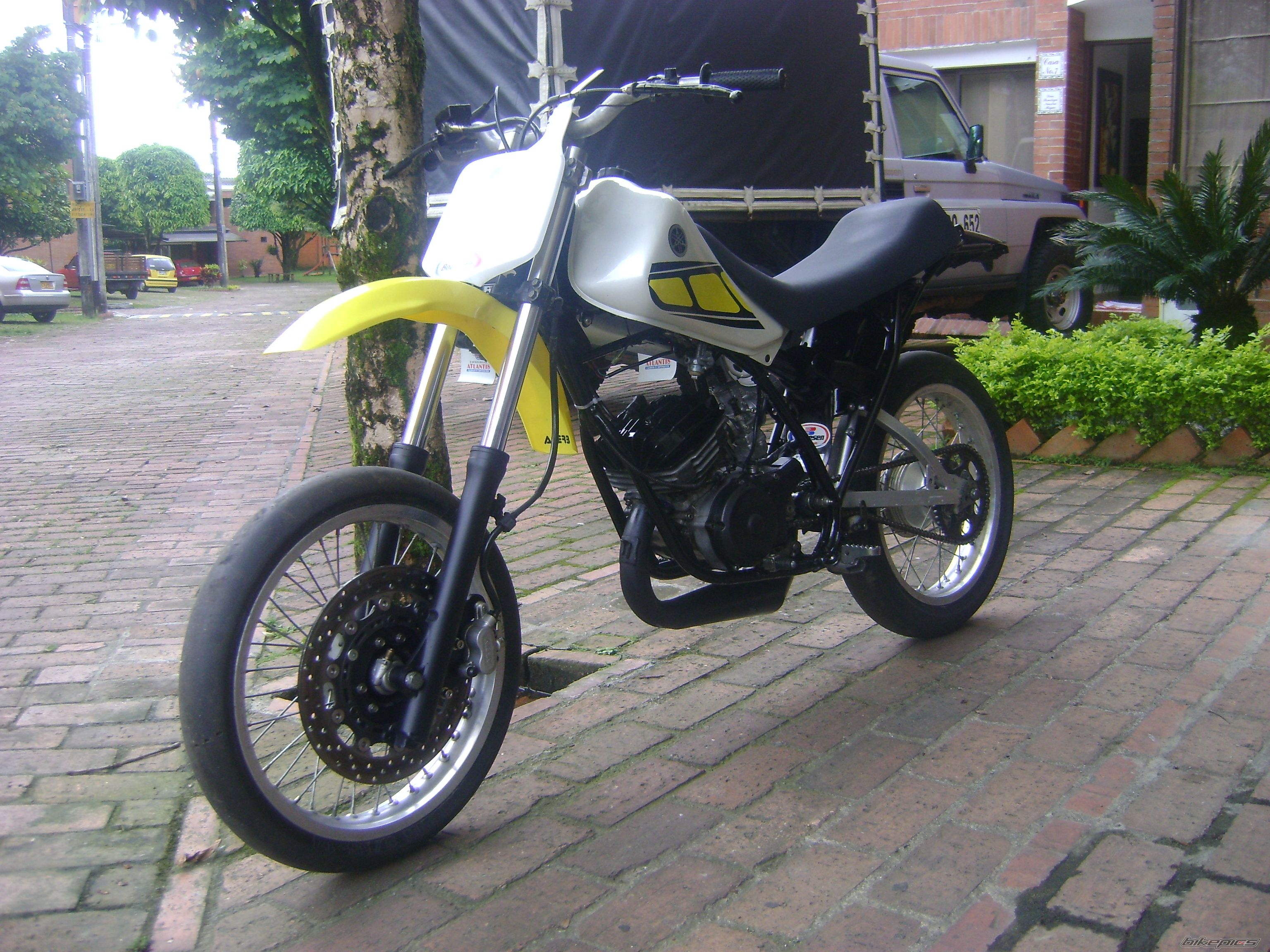 Photo 1546241