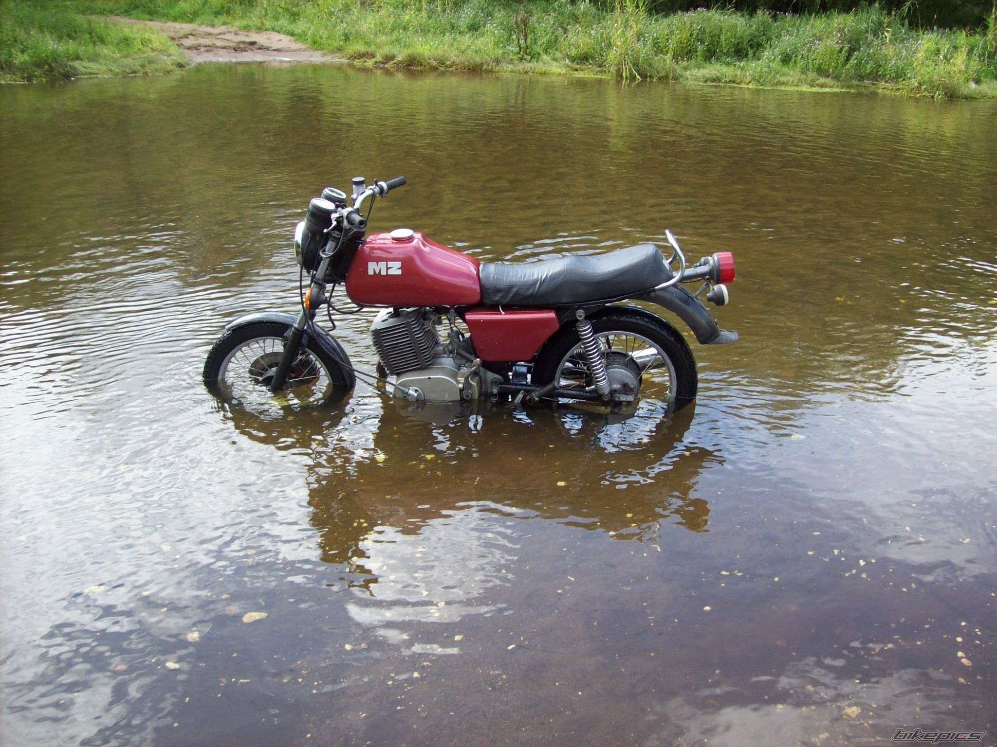 Photo 1546264