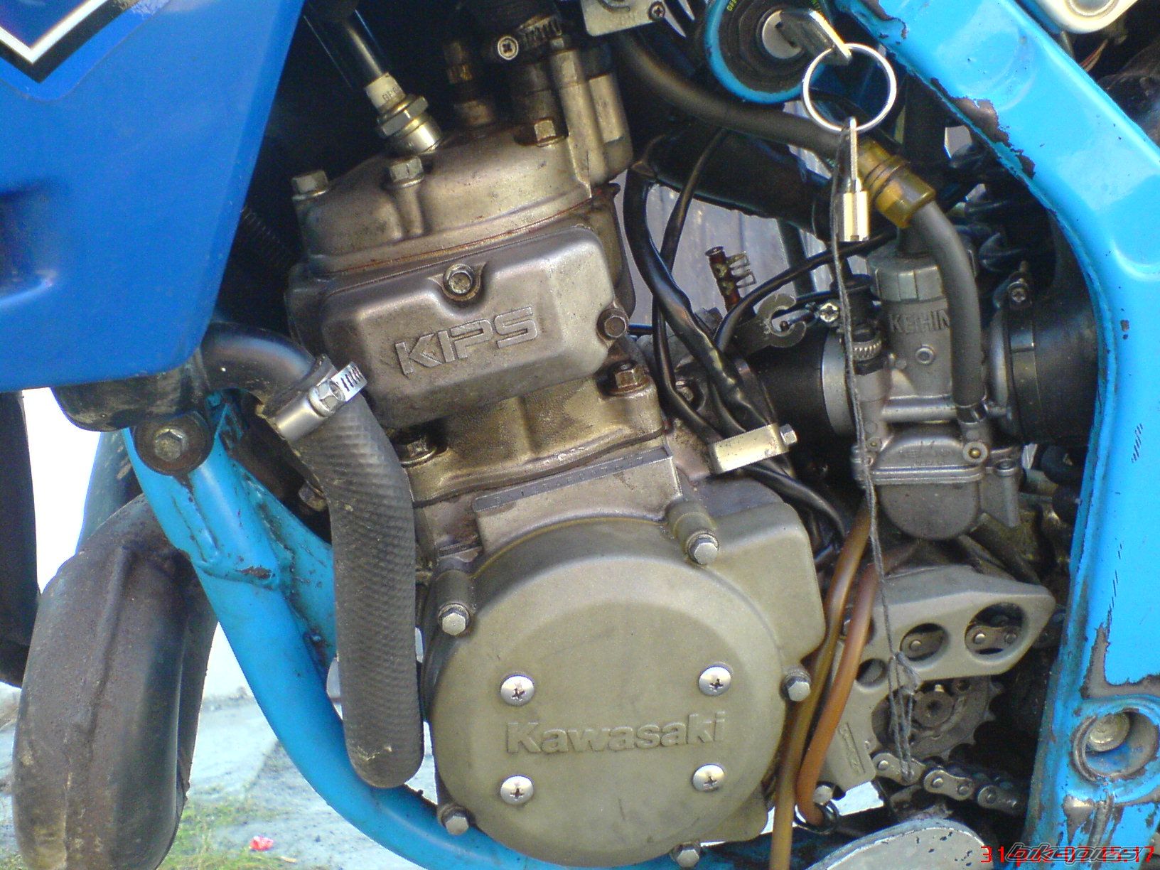 Photo 1546281