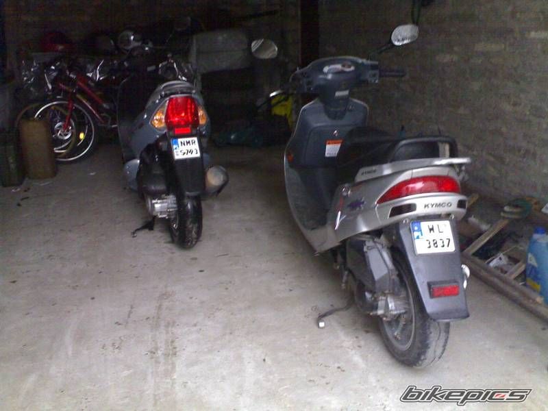 Photo 1546295