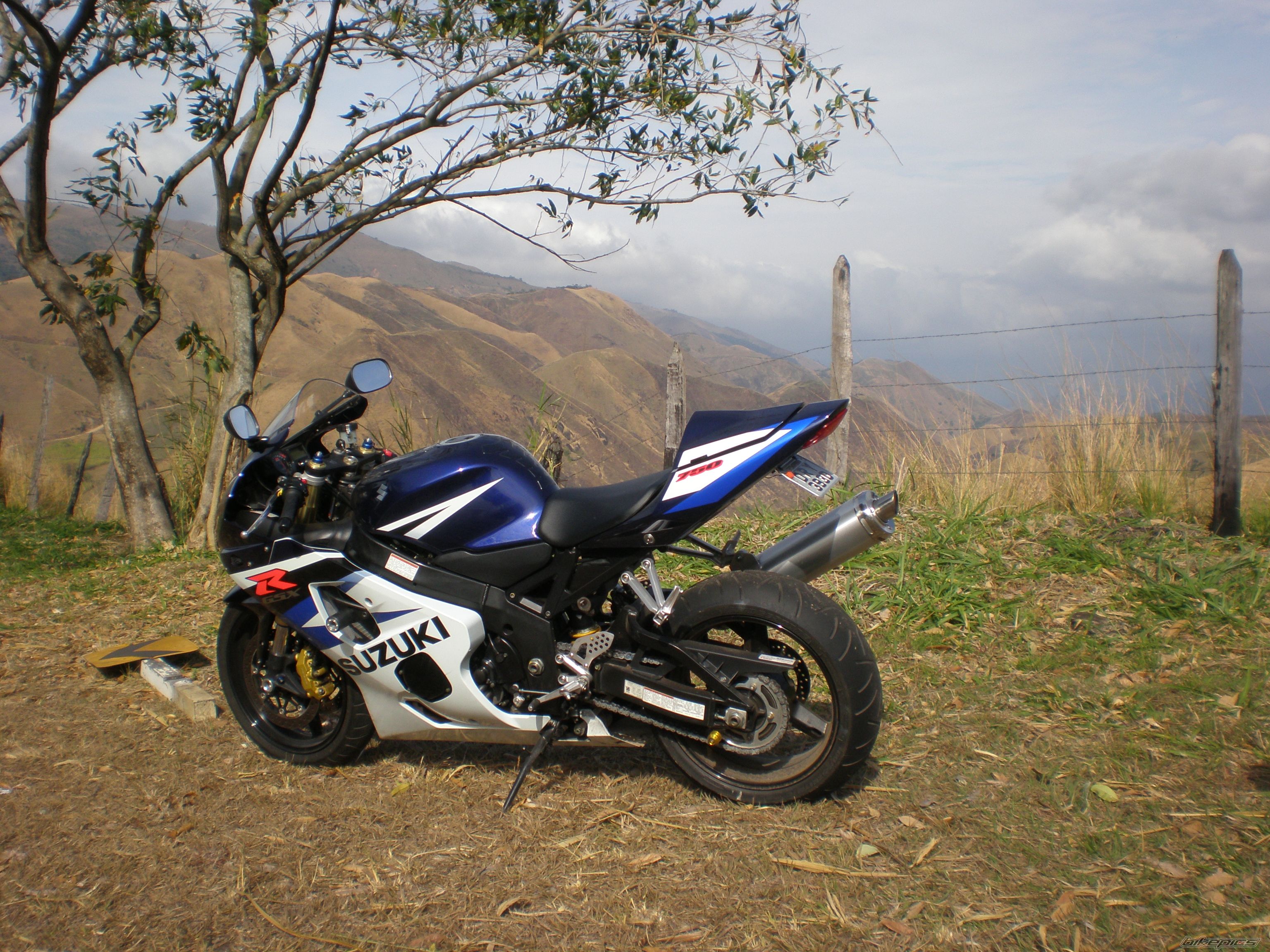 Photo 1546320
