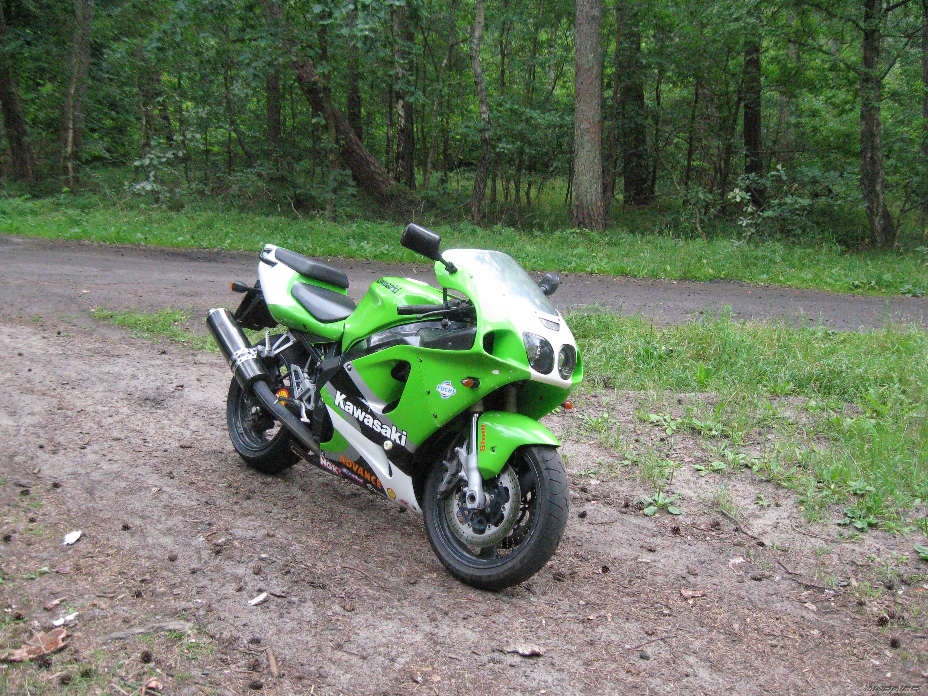 Photo 1546439