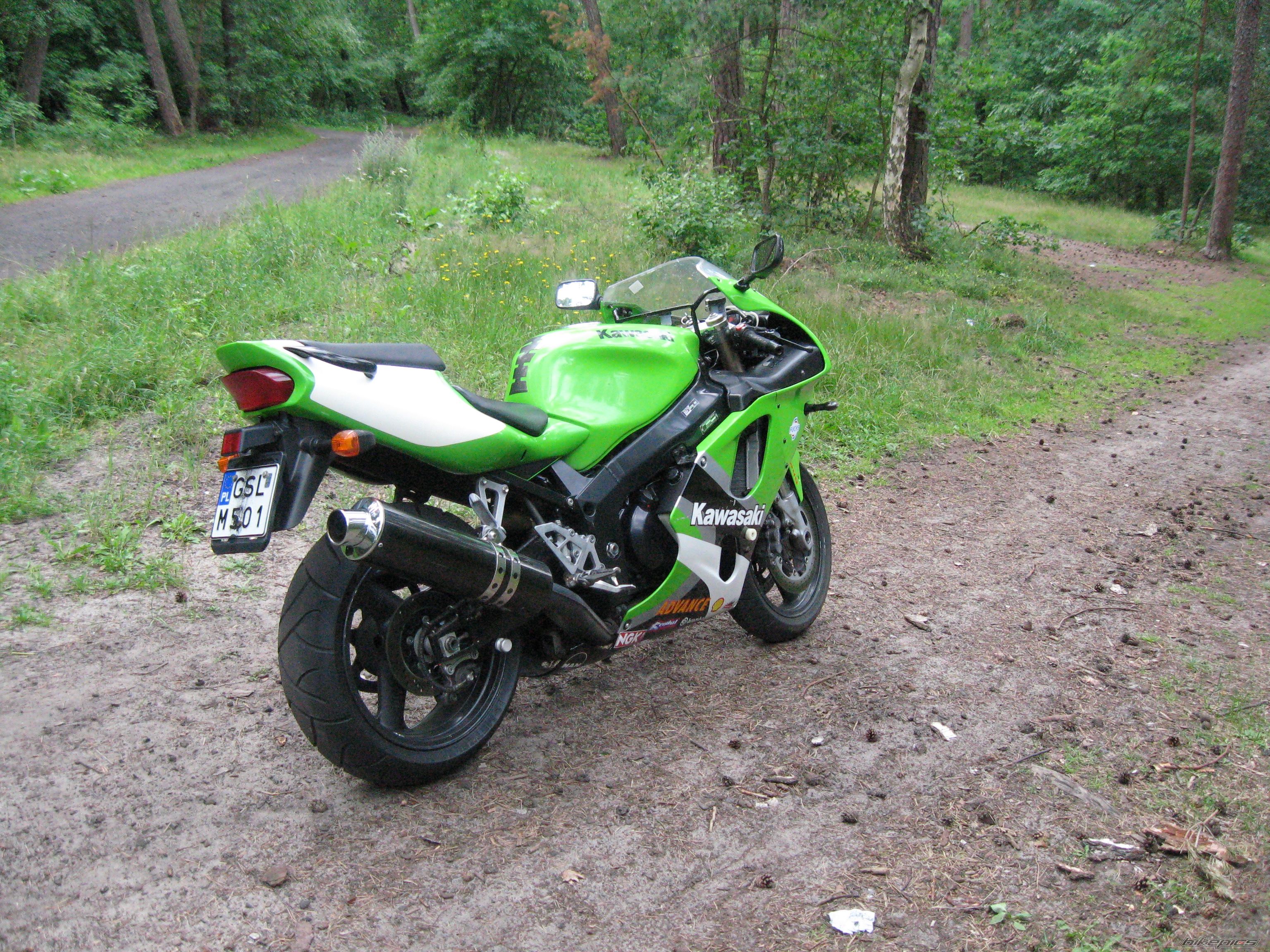 Photo 1546440