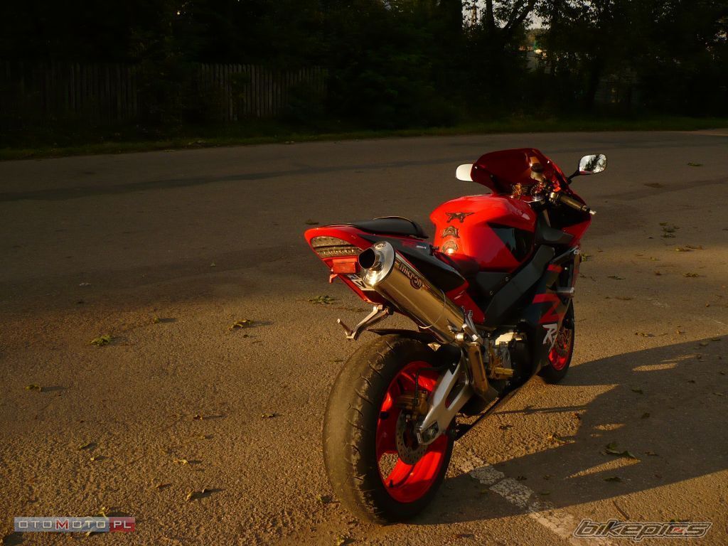 Photo 1546472