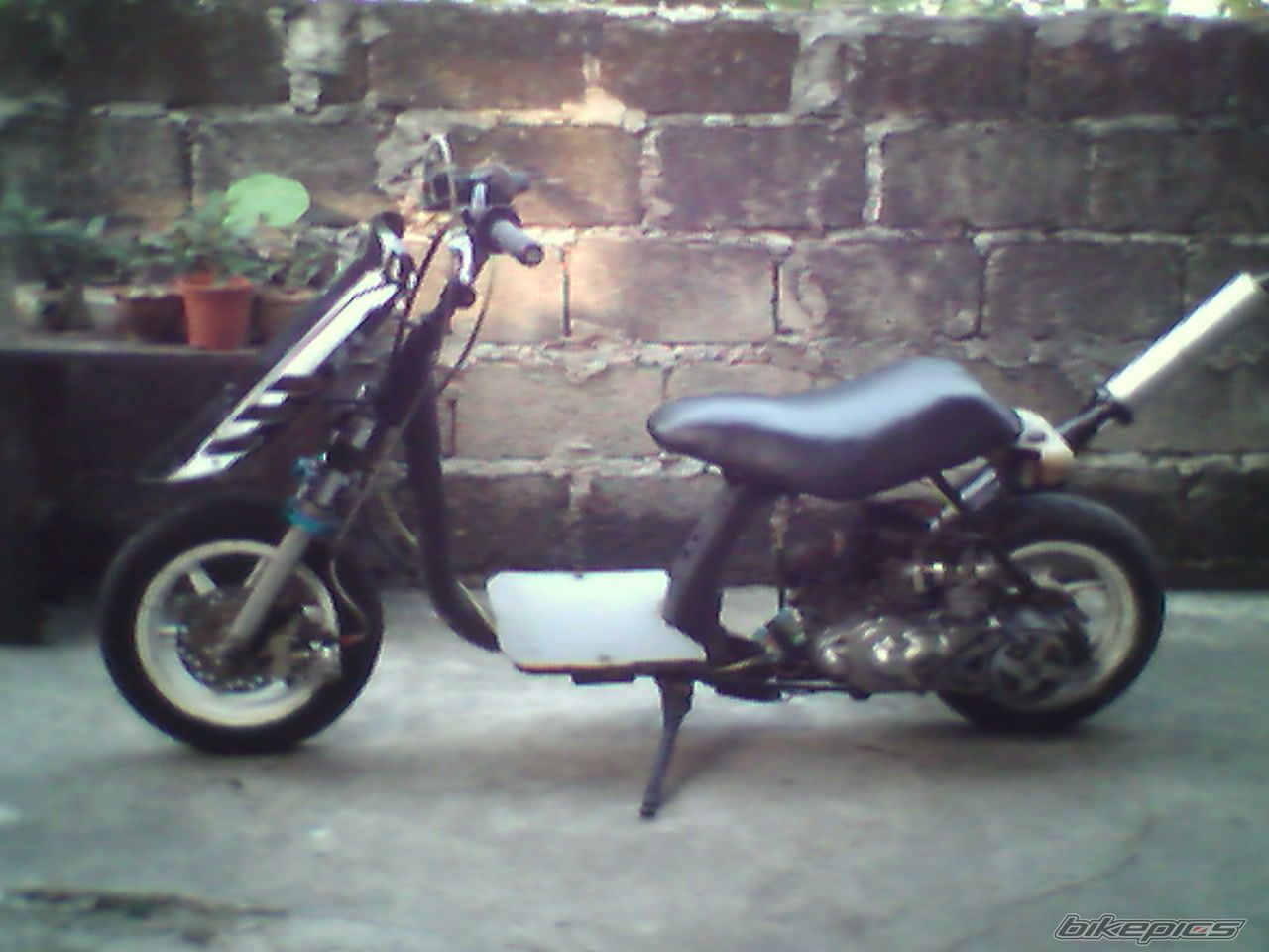 Photo 1546494