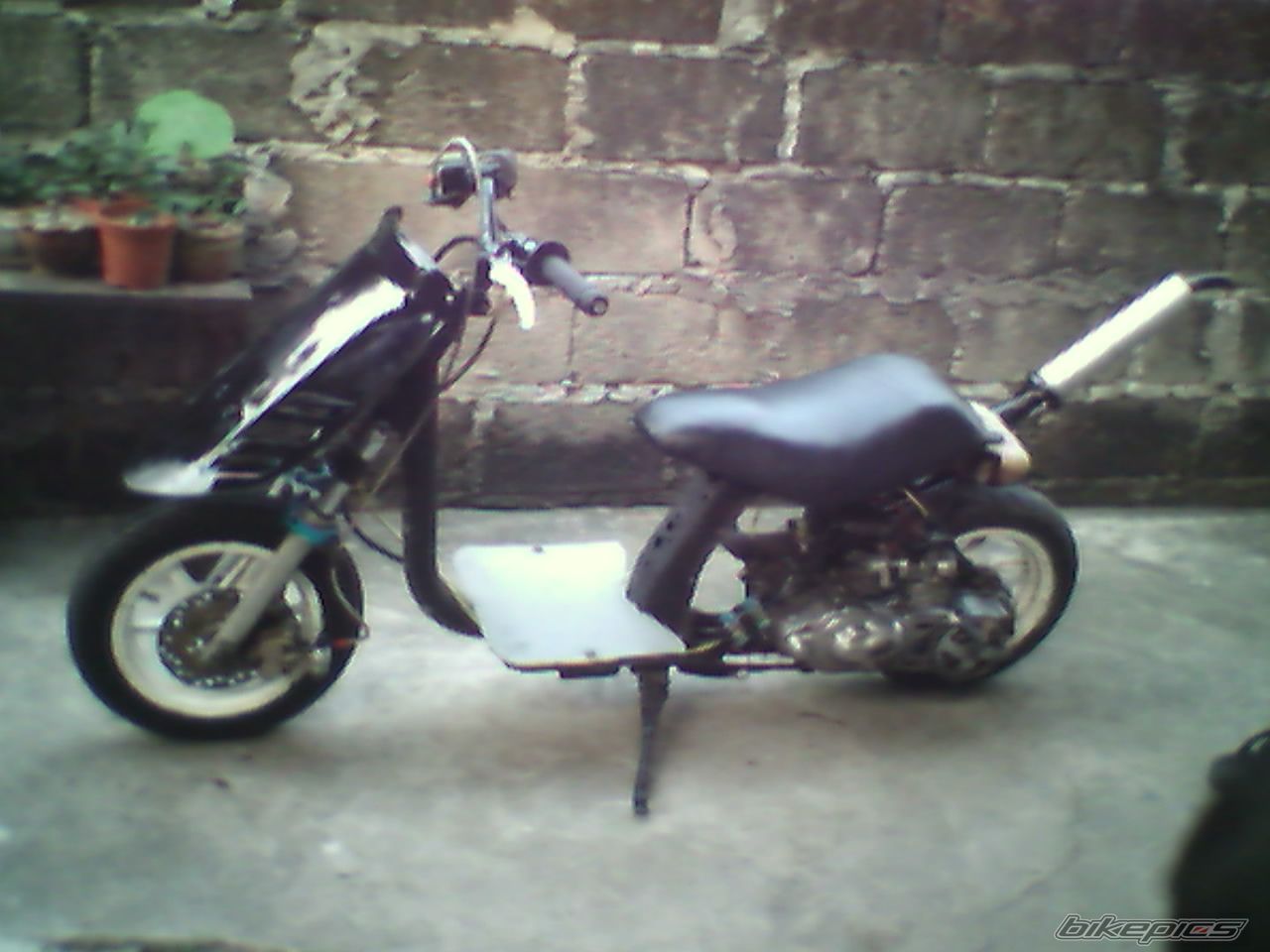 Photo 1546496