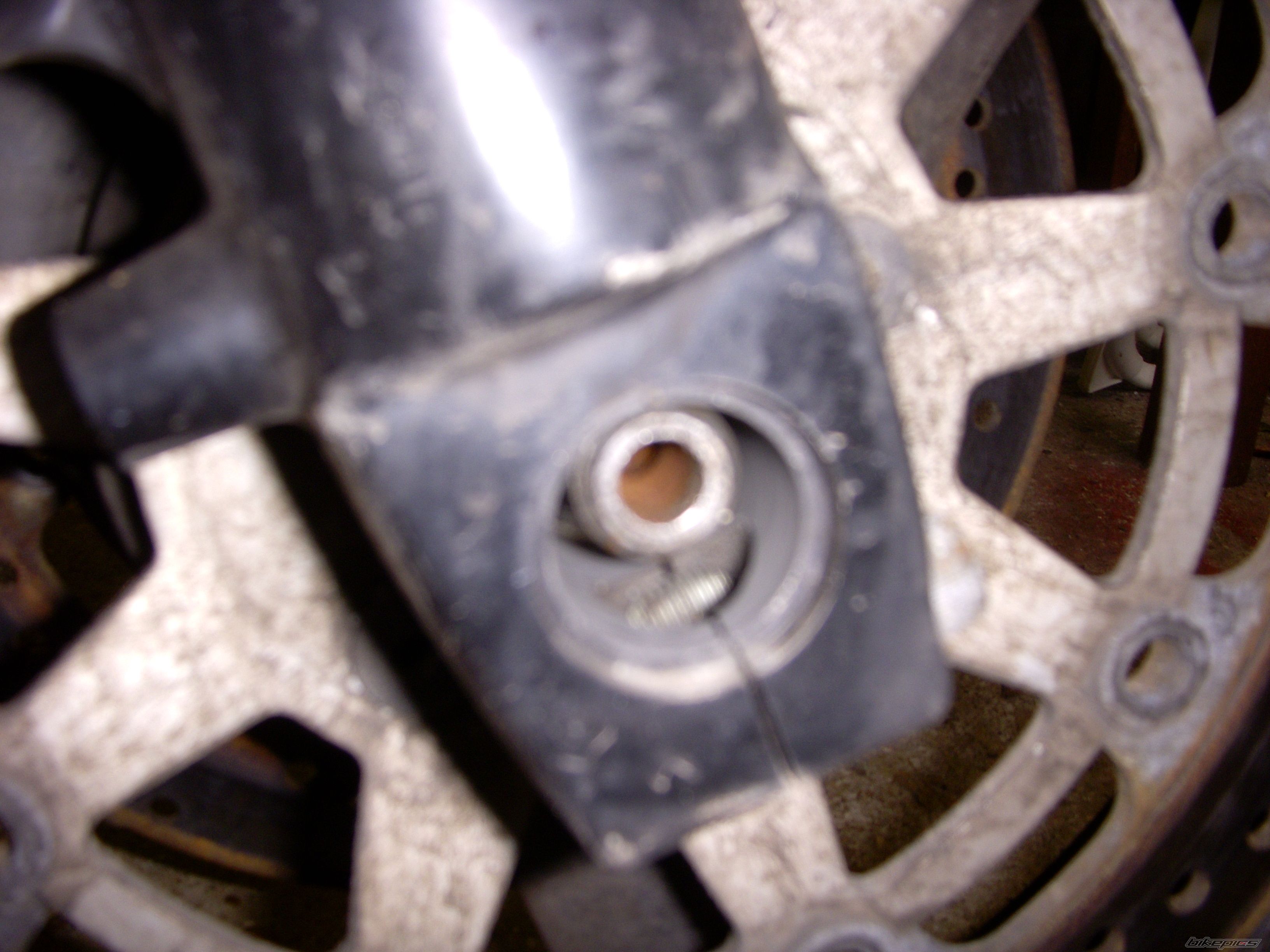 Photo 1546618