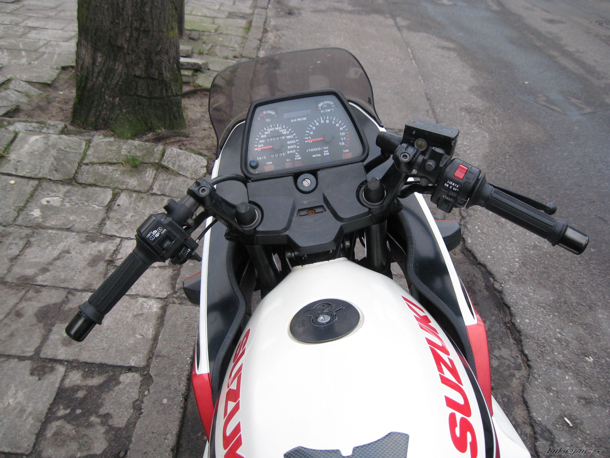 Photo 1546634