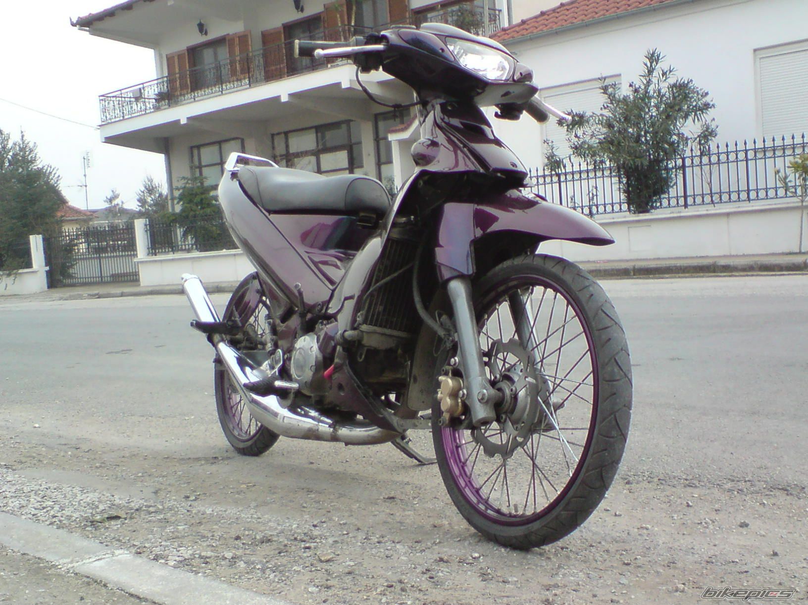 Photo 1546642
