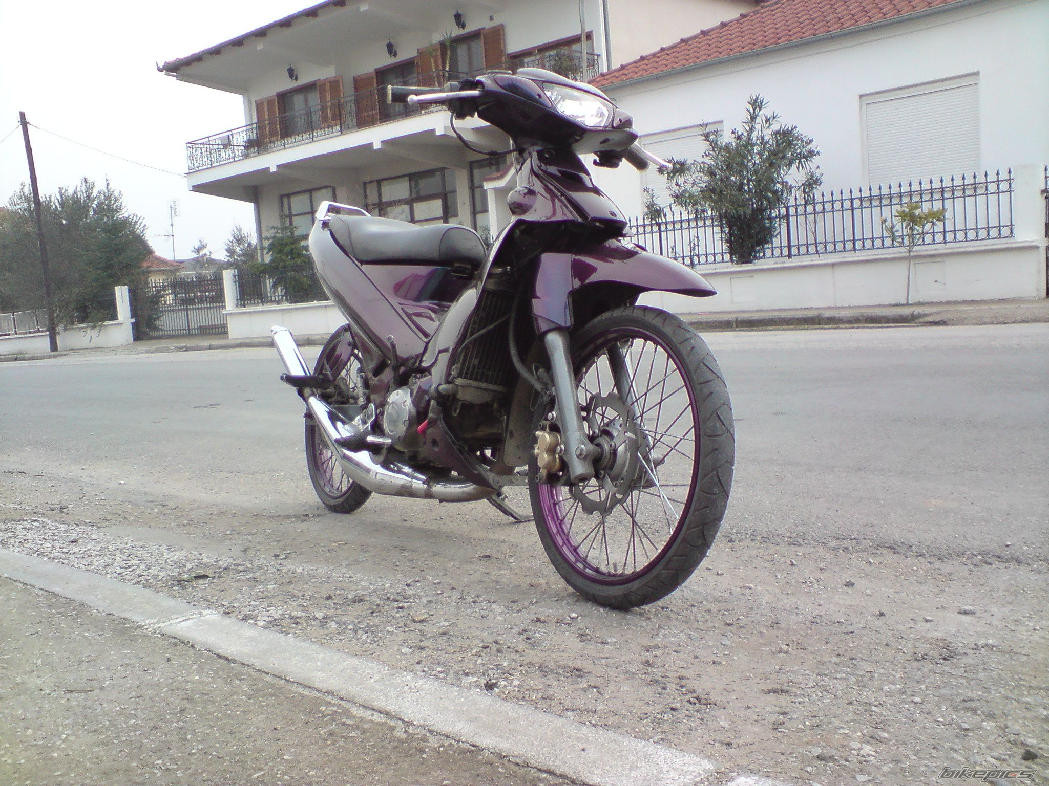 Photo 1546643