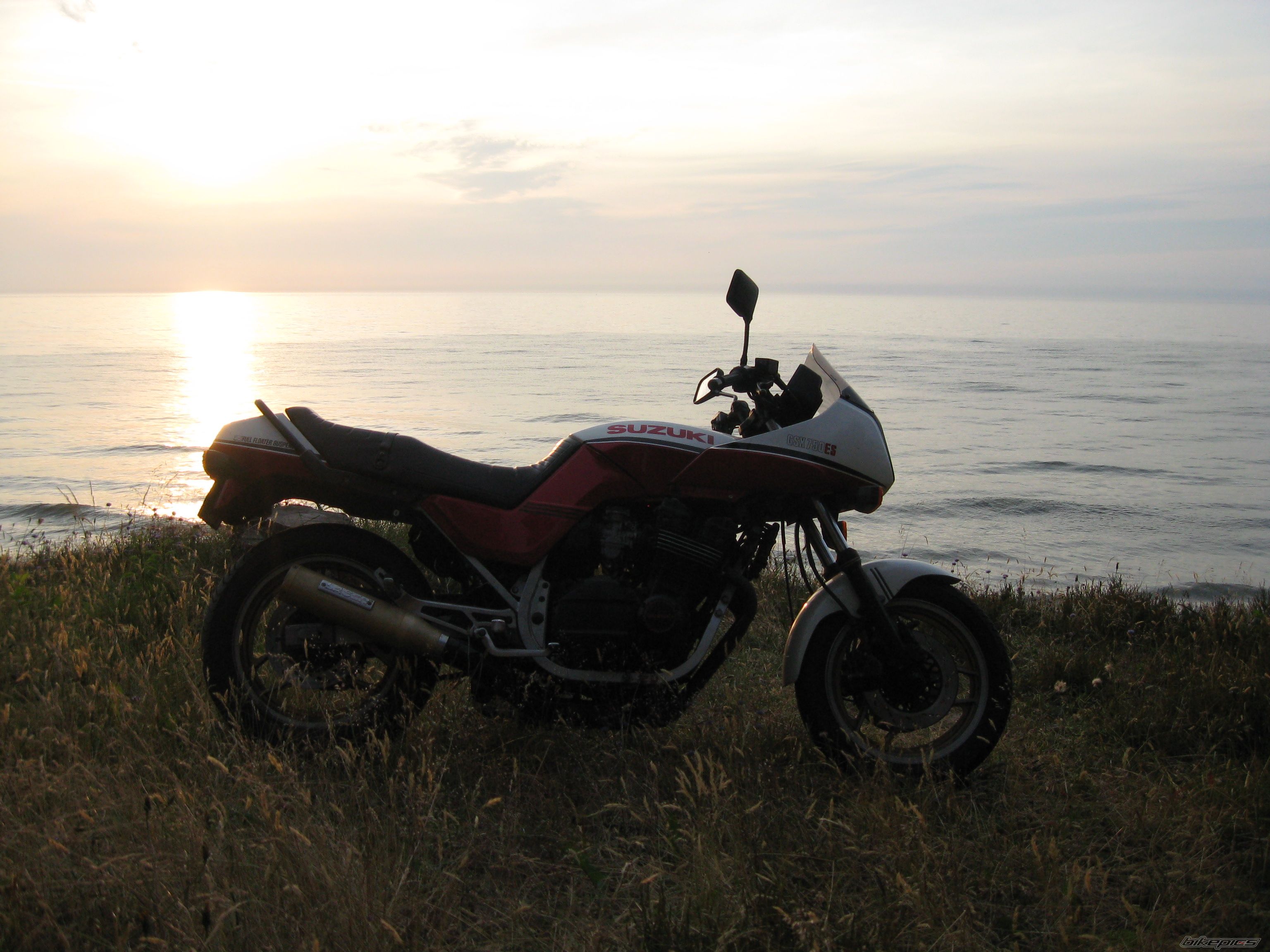 Photo 1546647