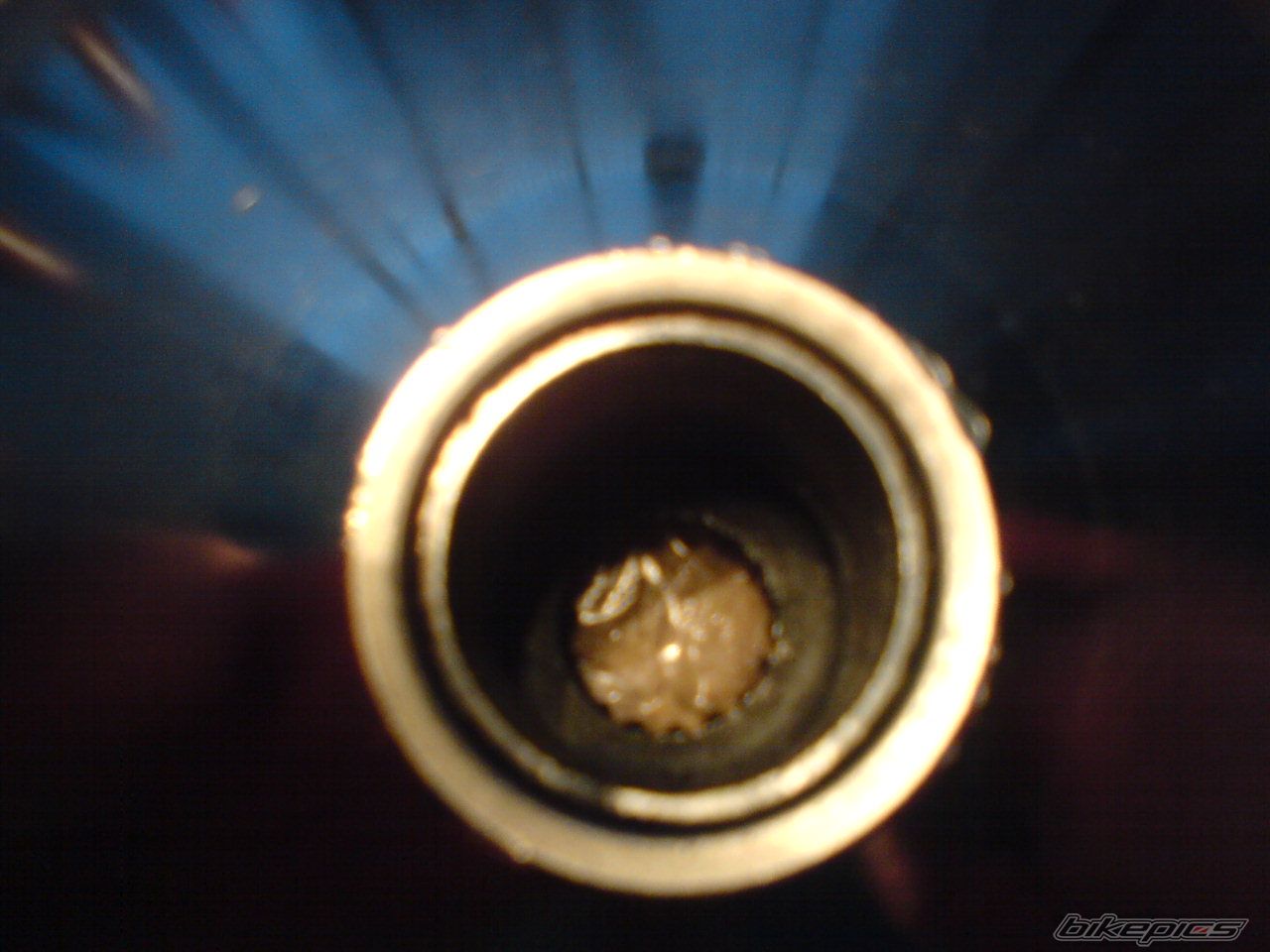 Photo 1546663
