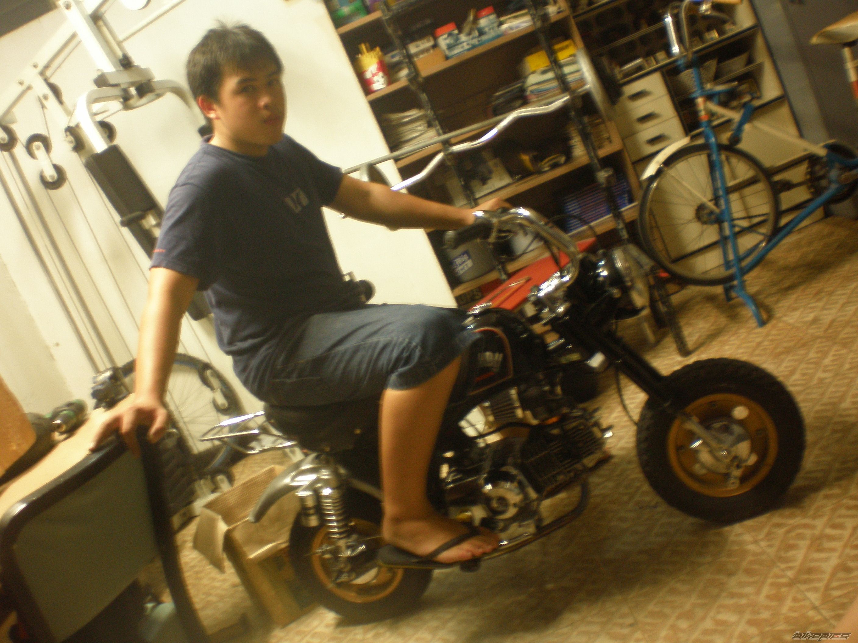 Photo 1546726