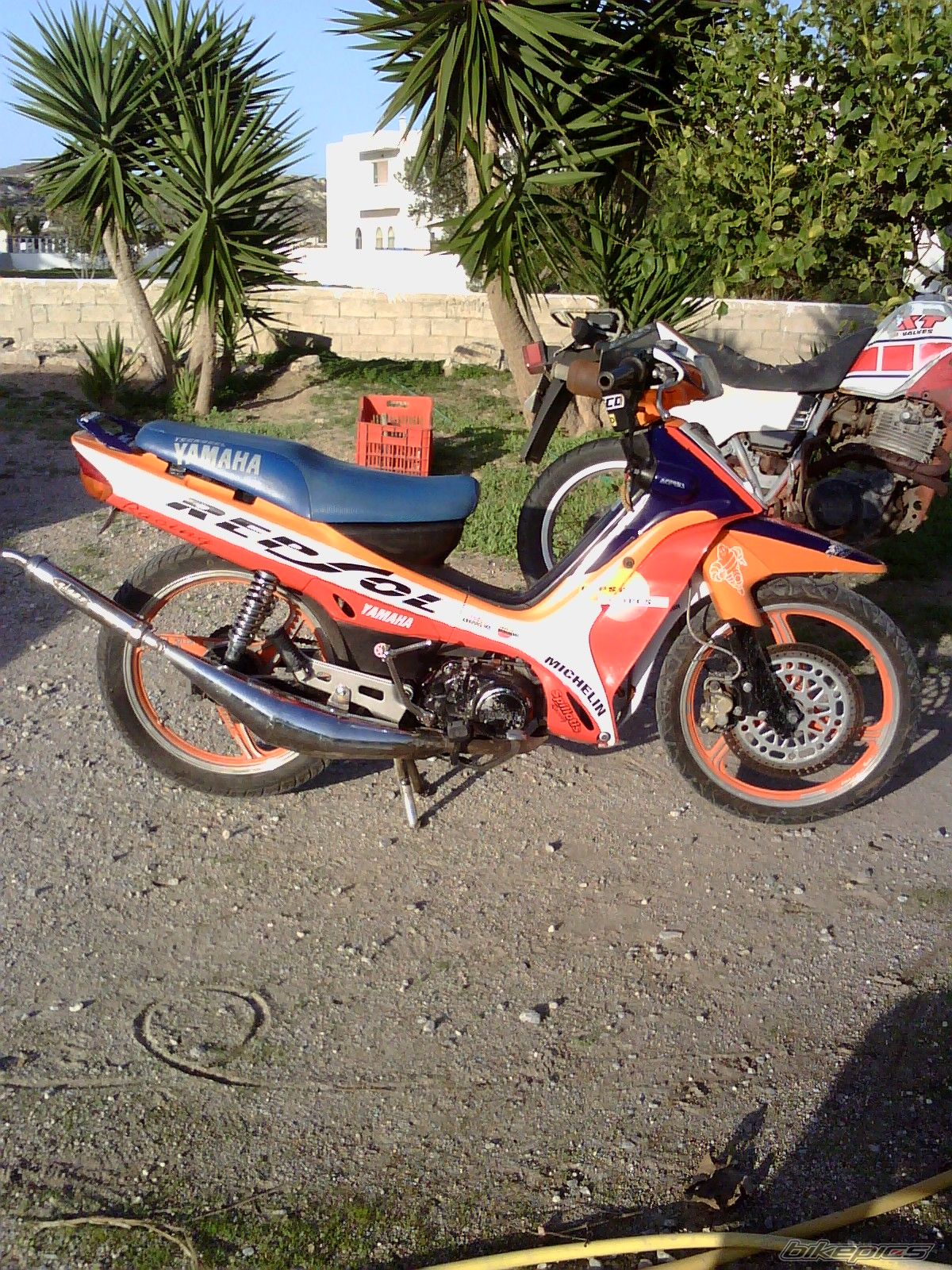 Photo 1546740