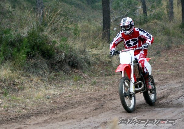 Photo 1546754