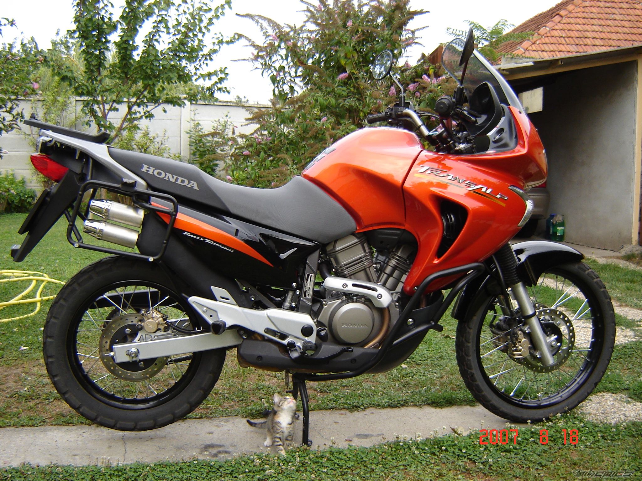 Photo 1546845