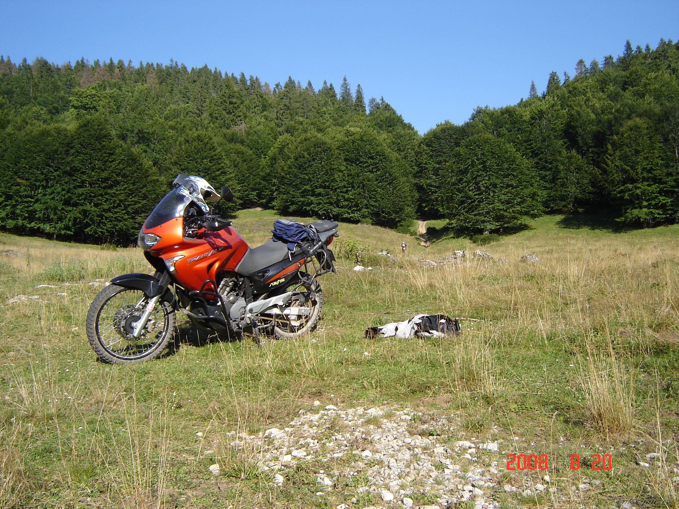 Photo 1546858