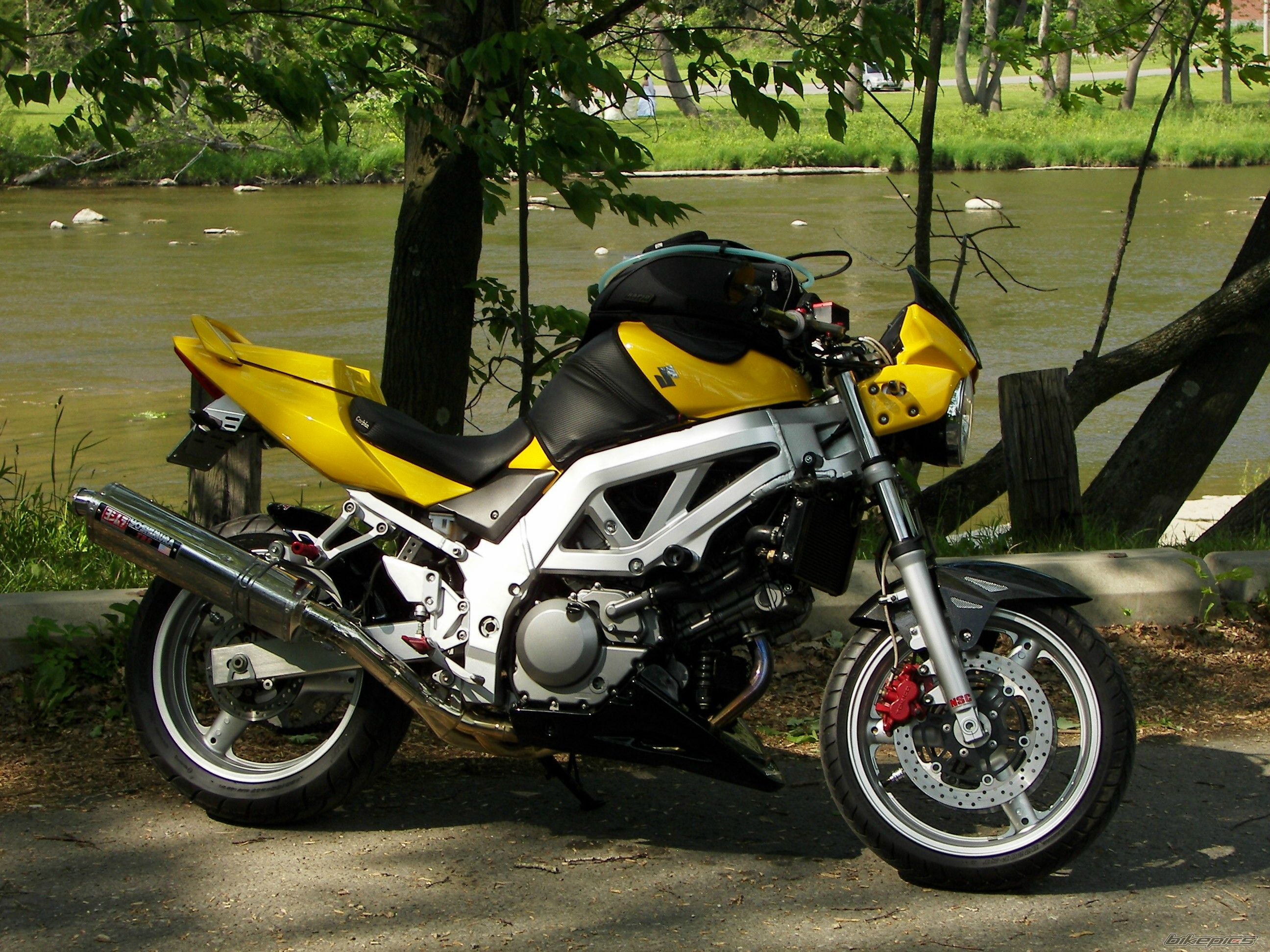 Photo 1546870
