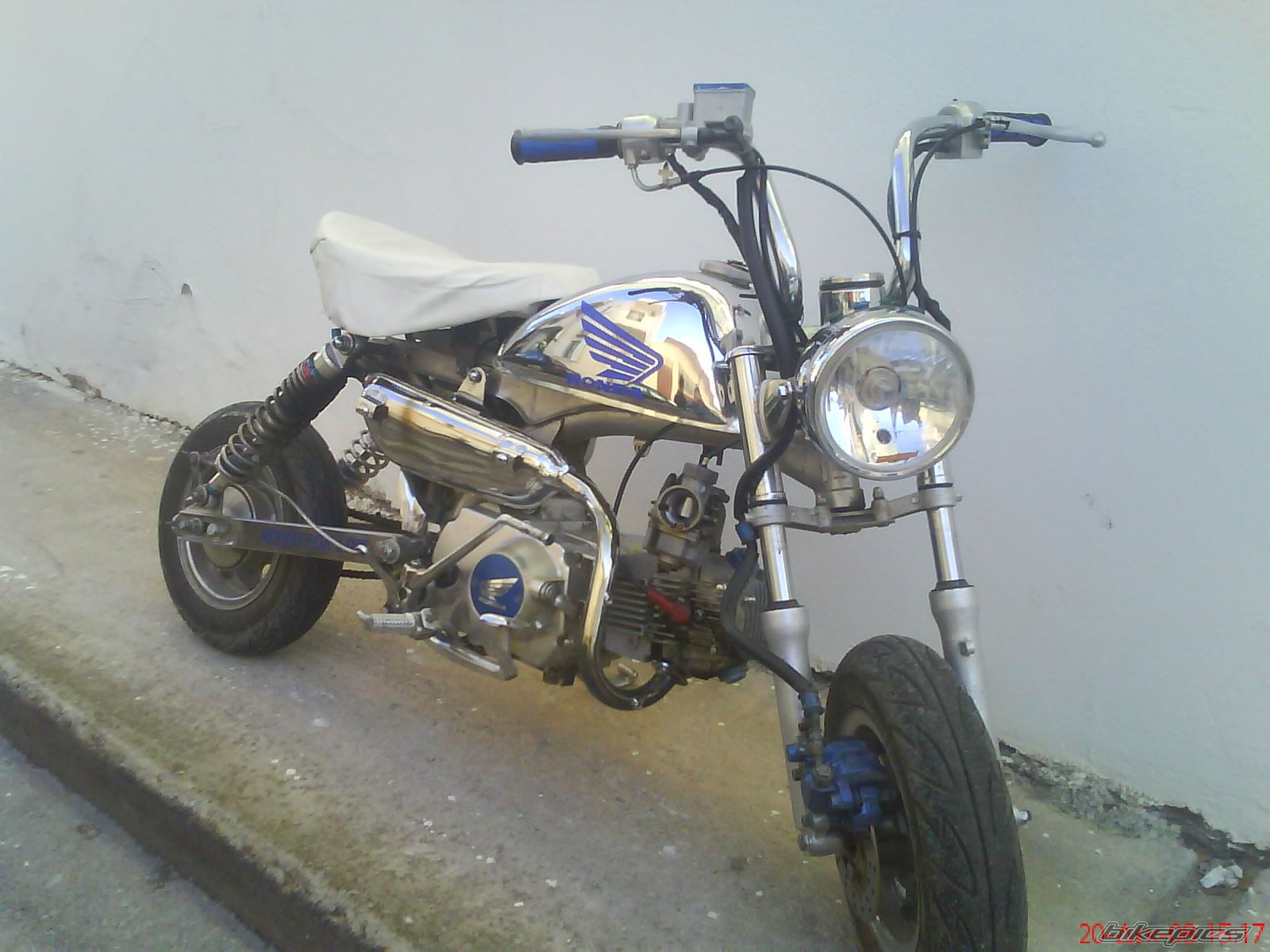 Photo 1546909