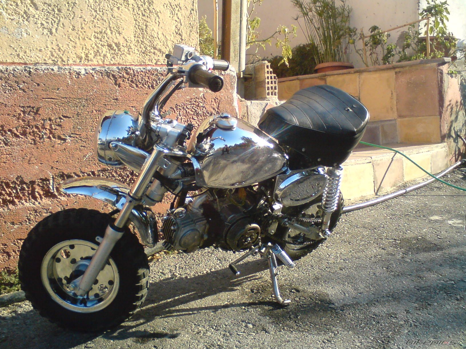 Photo 1546913
