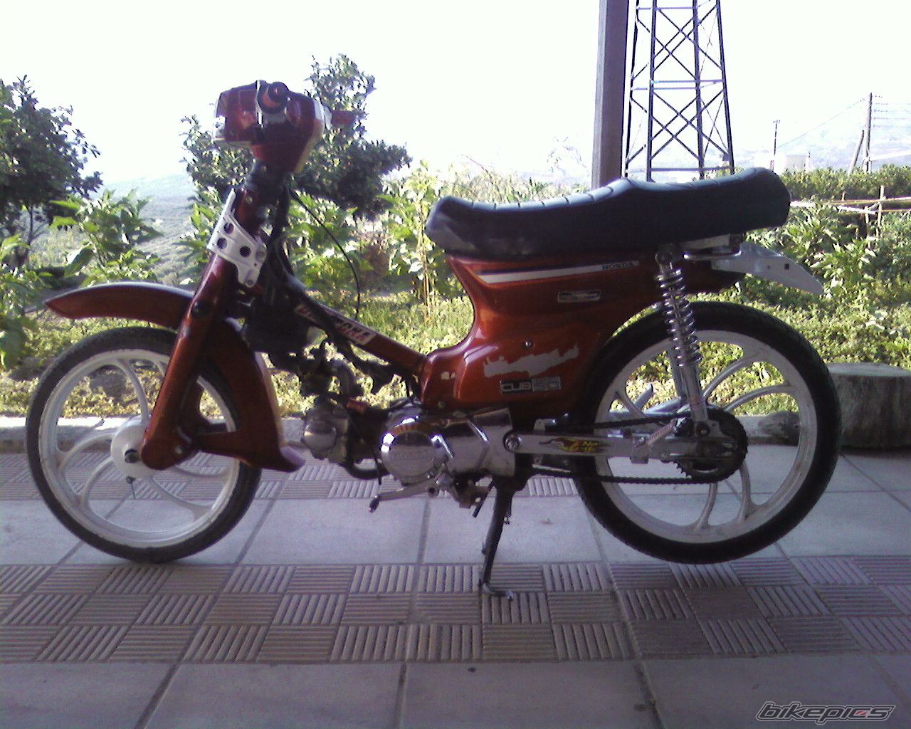 Photo 1546918
