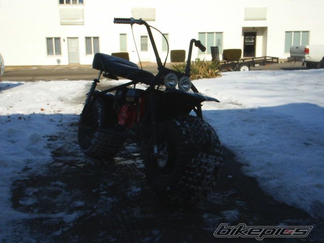 Photo 1546929