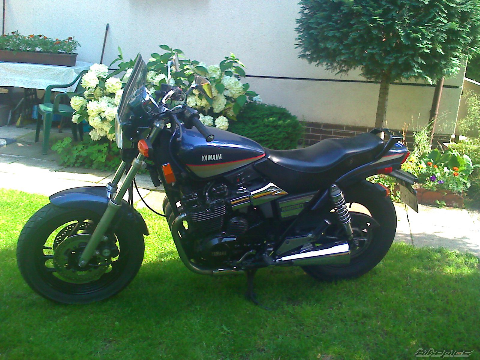 Photo 1547036