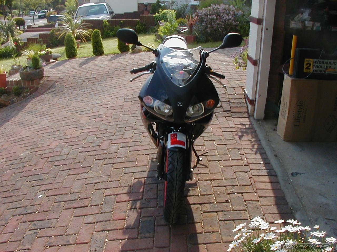 Photo 154705