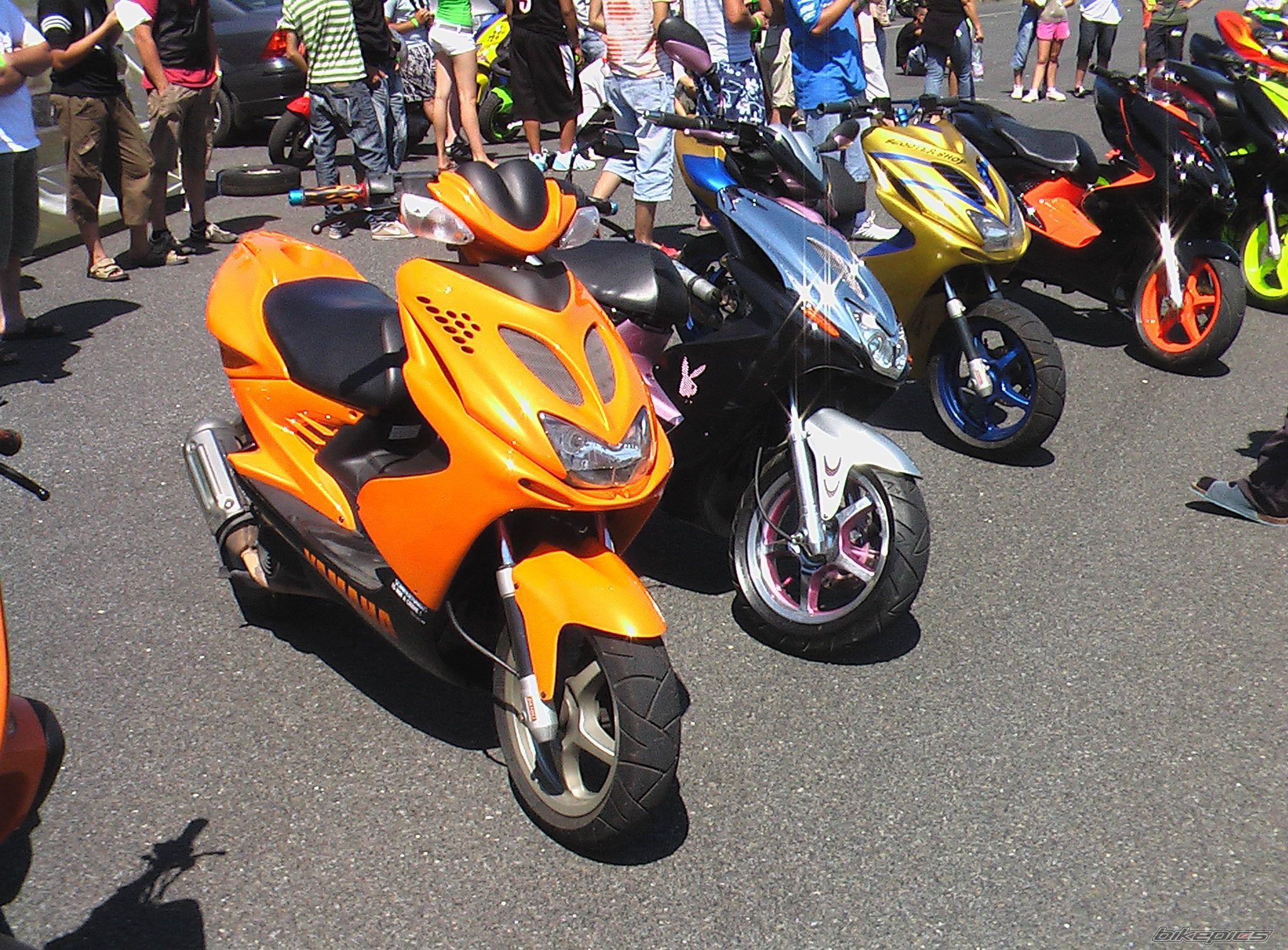 Photo 1547061