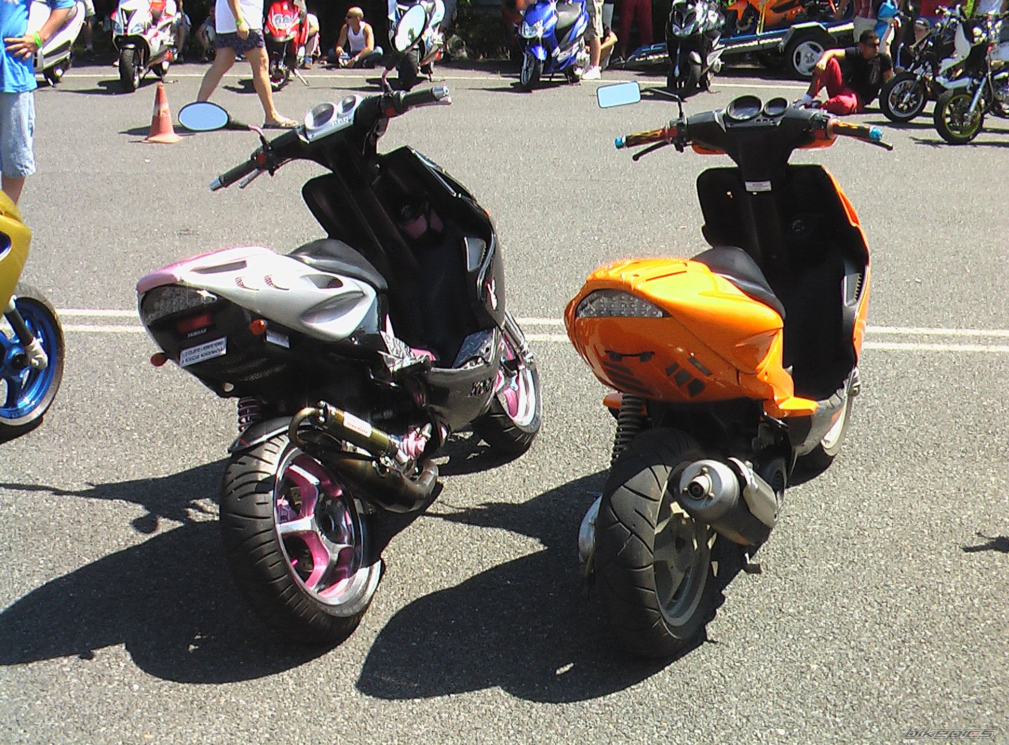 Photo 1547062