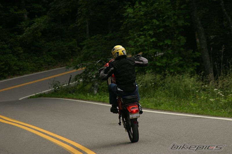 Photo 1547100