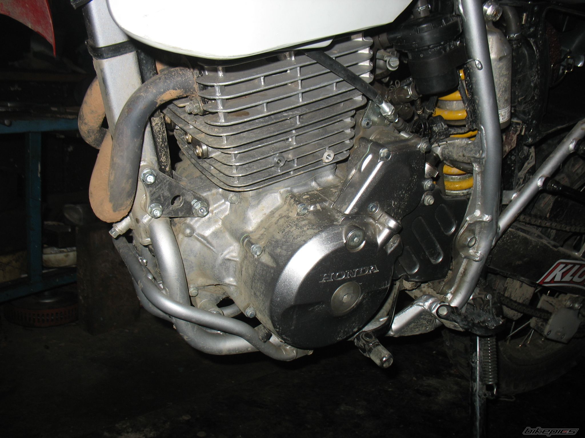 Photo 1547148