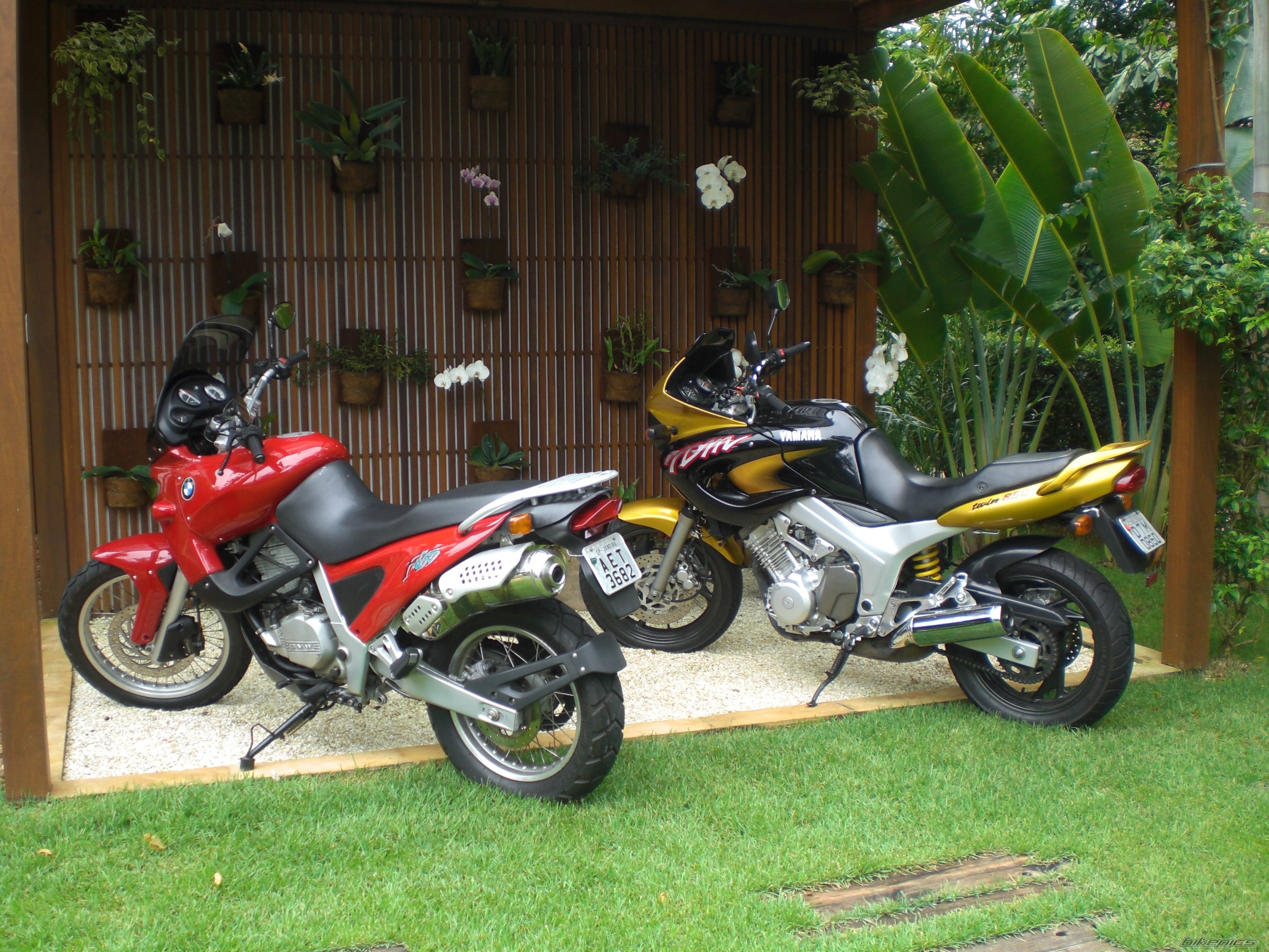Photo 1547174