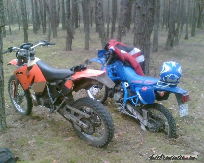 Photo 1547181
