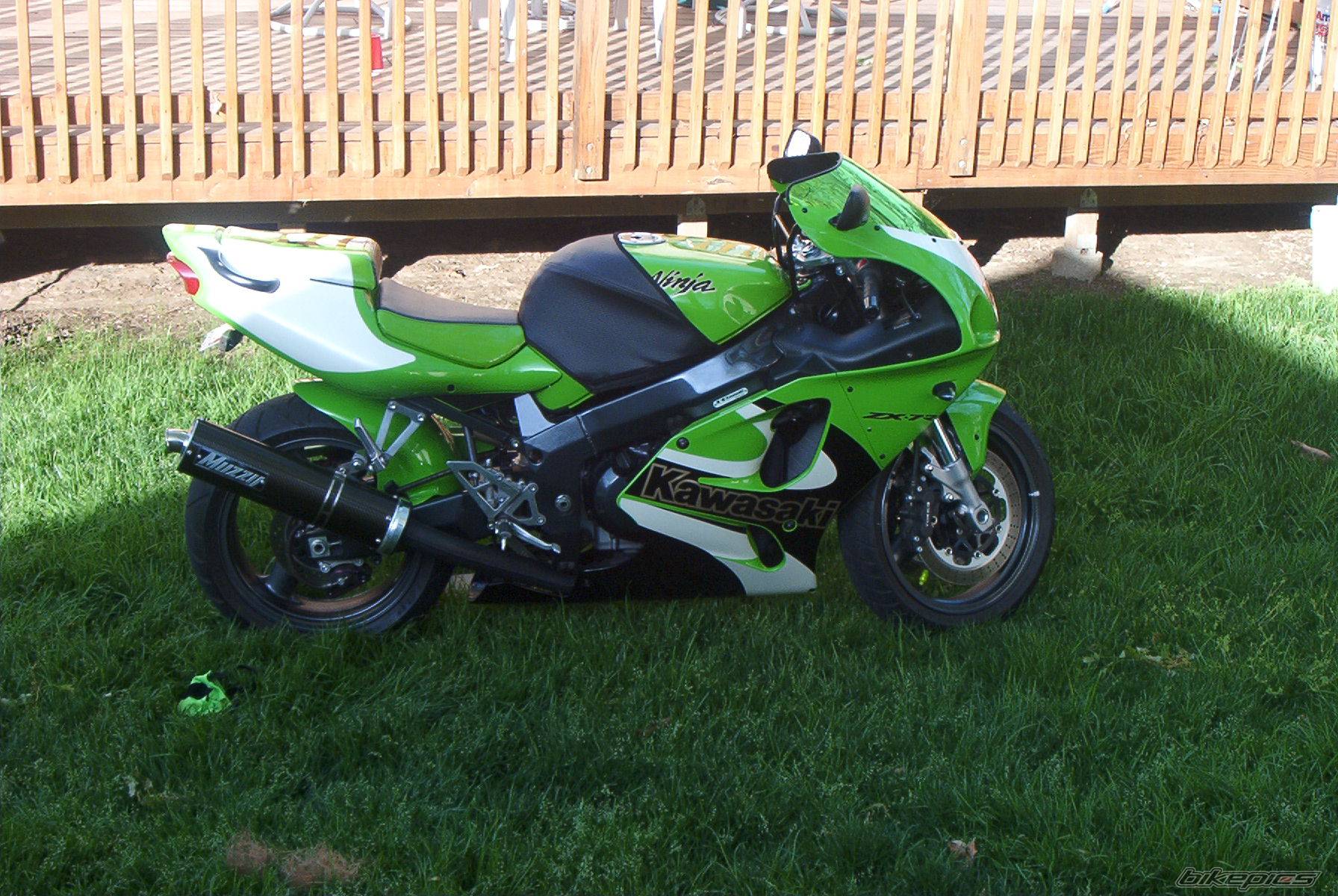 Photo 154719