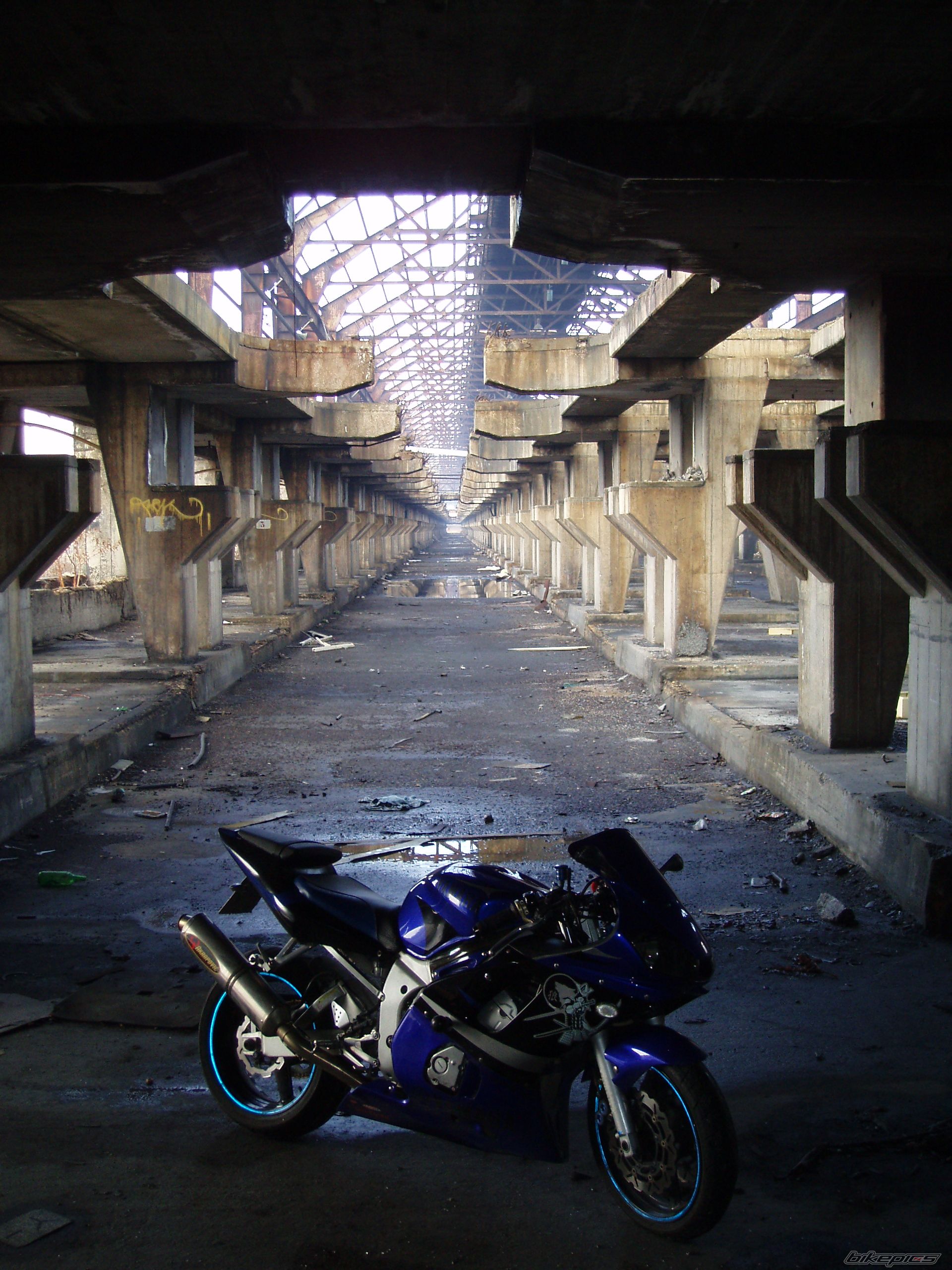 Photo 1547208