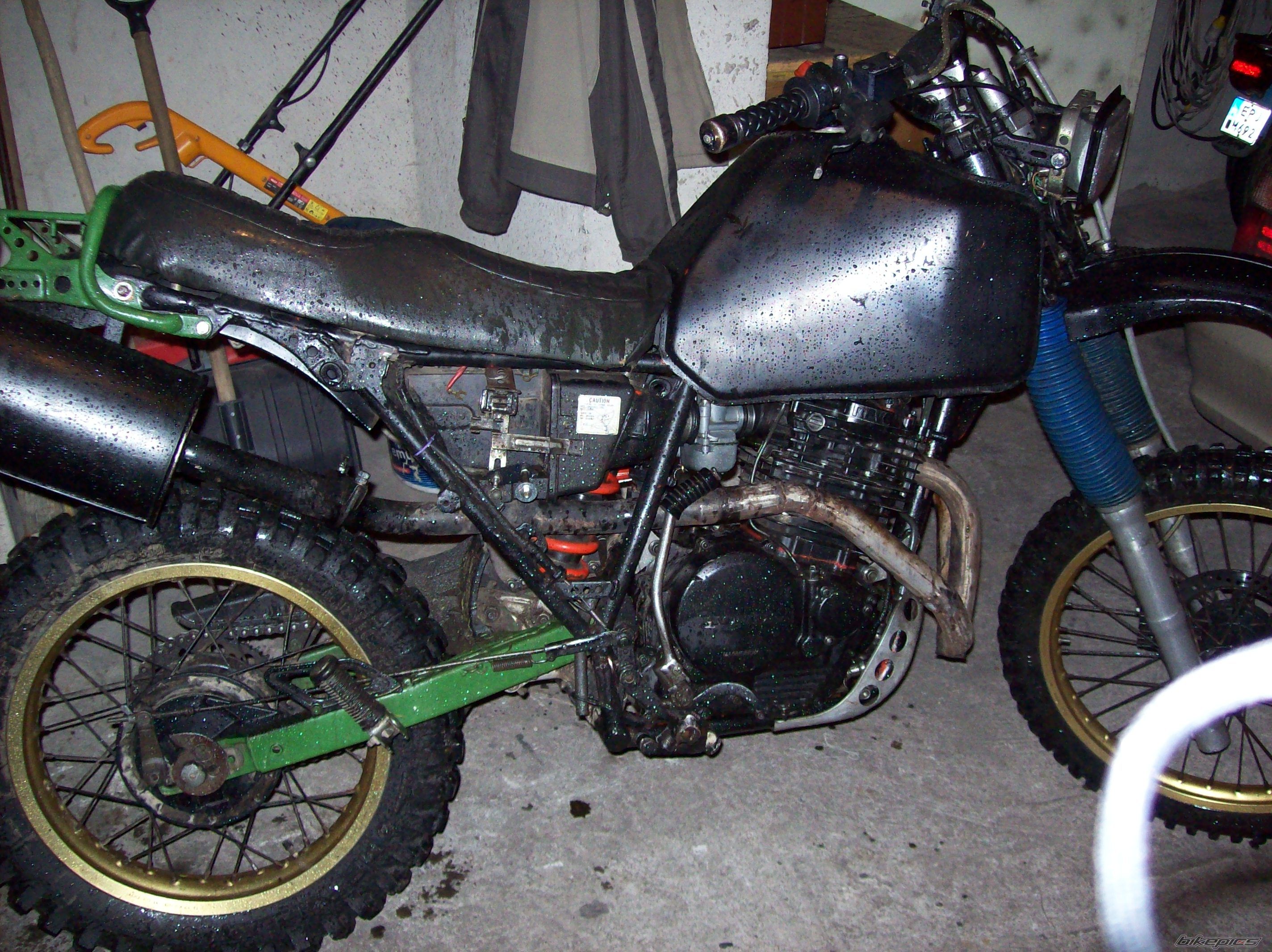 Photo 1547220