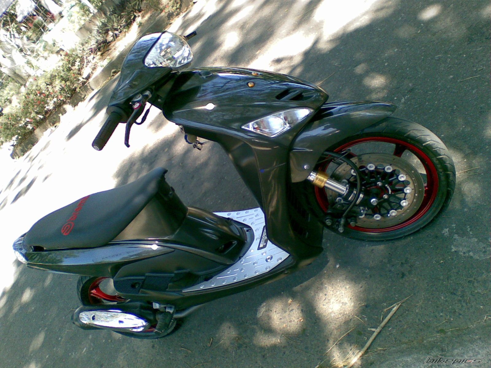 Photo 1547335