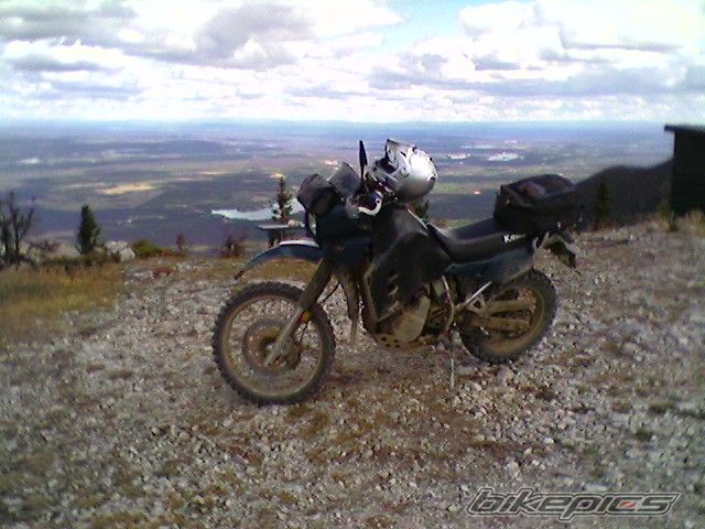 Photo 1547354