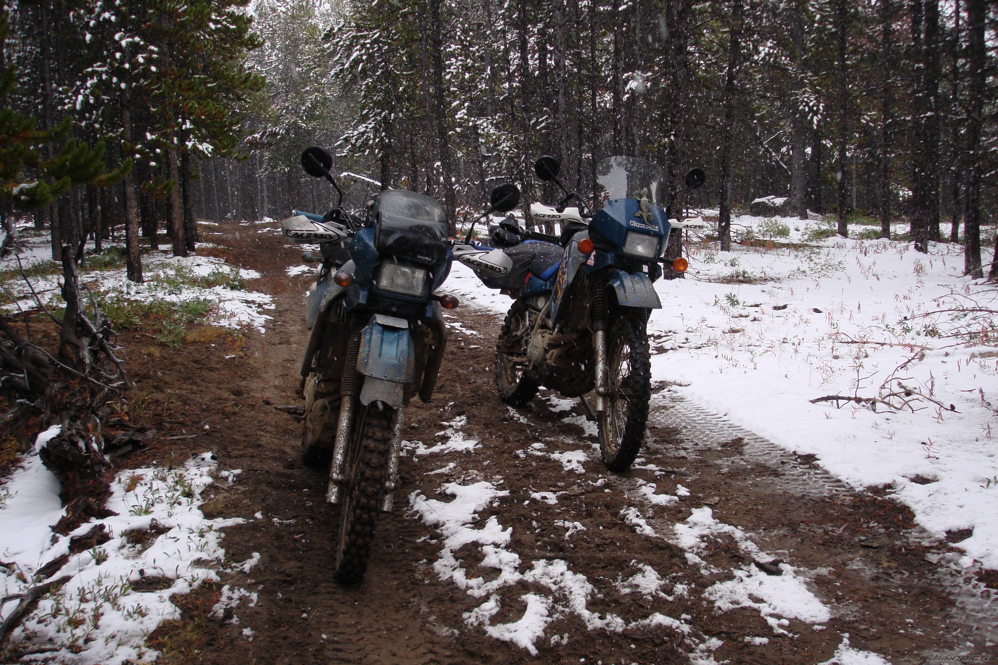 Photo 1547360