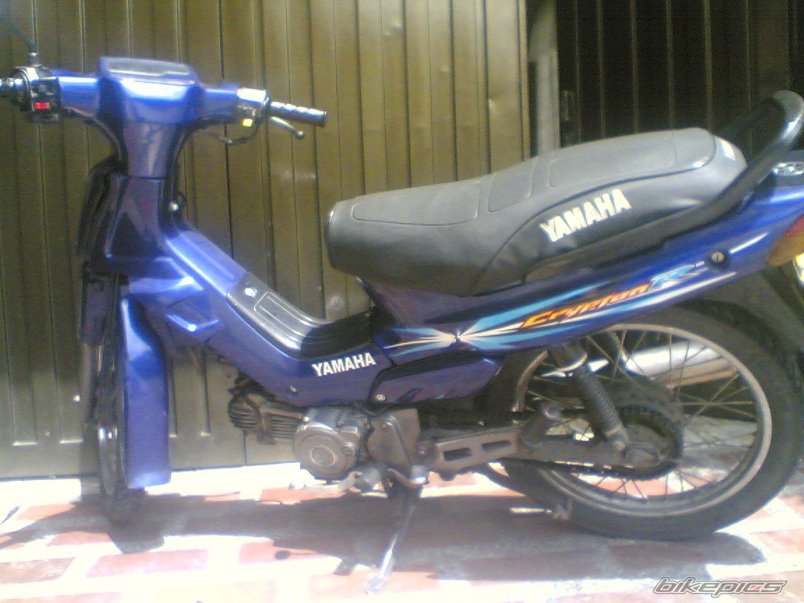 Photo 1547384