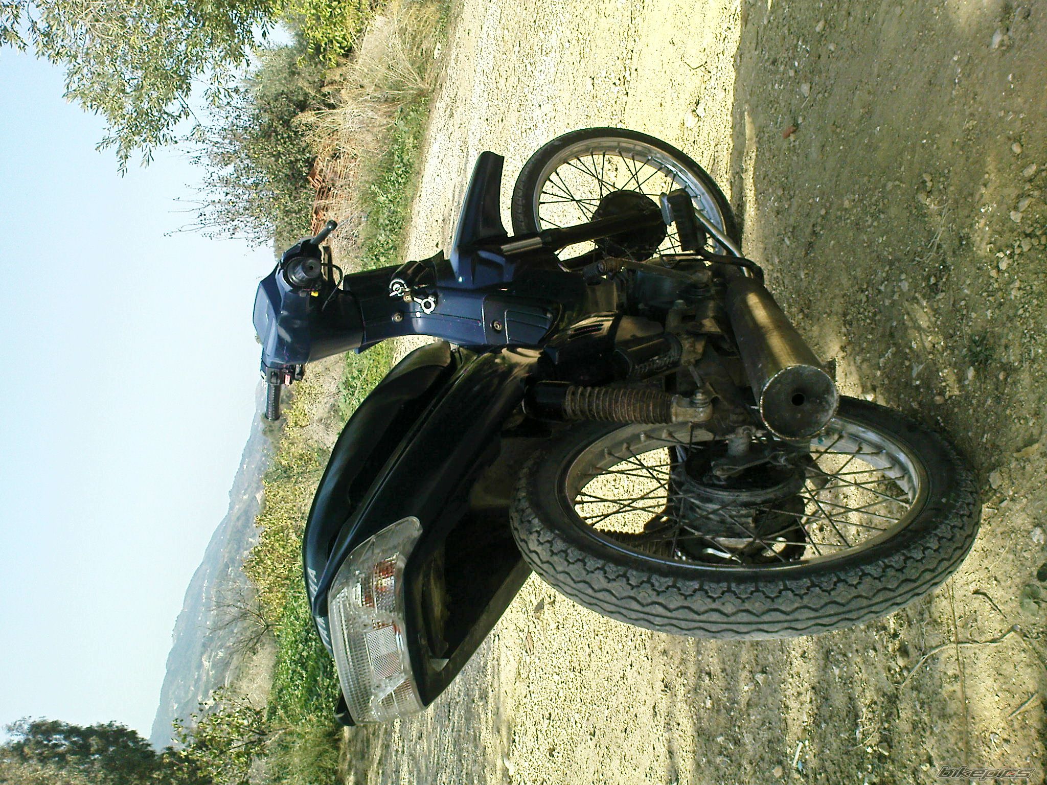 Photo 1547420