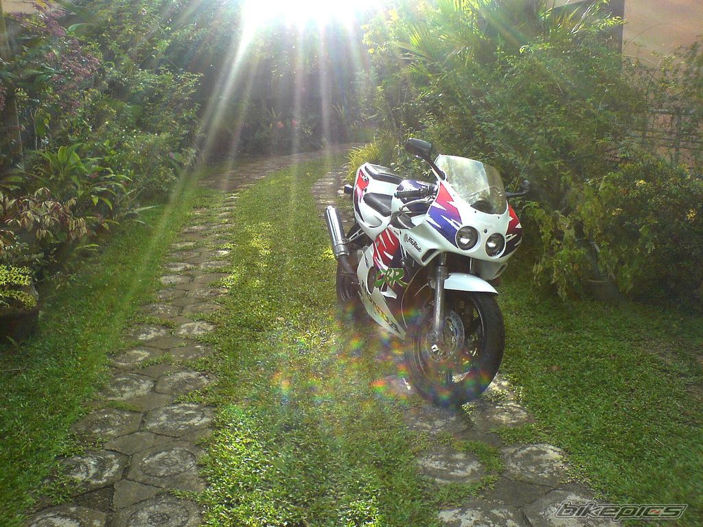 Bike Photo 1547434