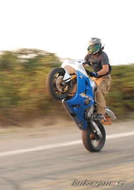 Photo 1547442