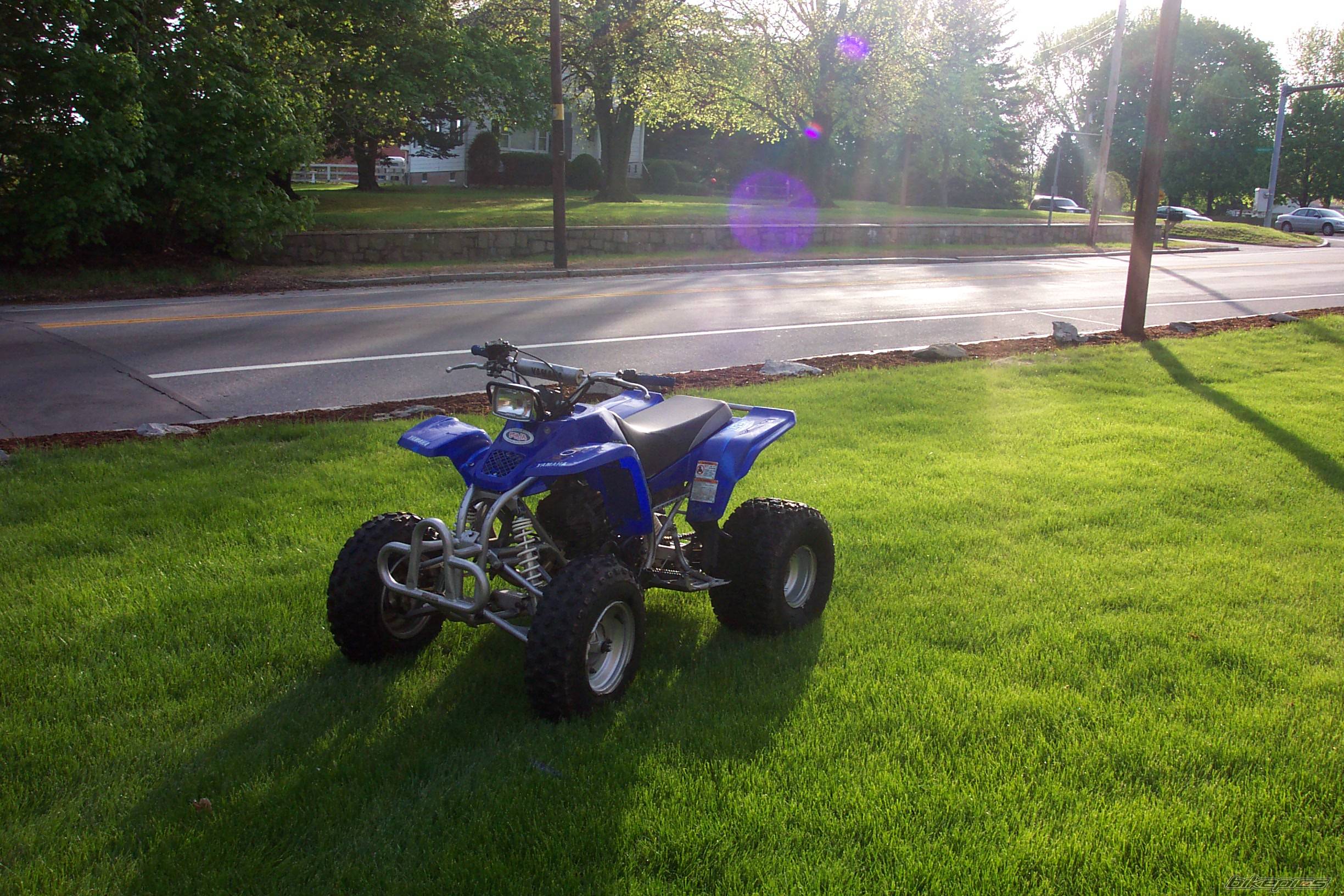 Photo 154748