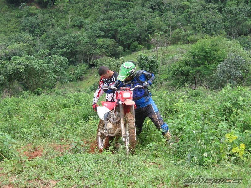 Bike Photo 1547516