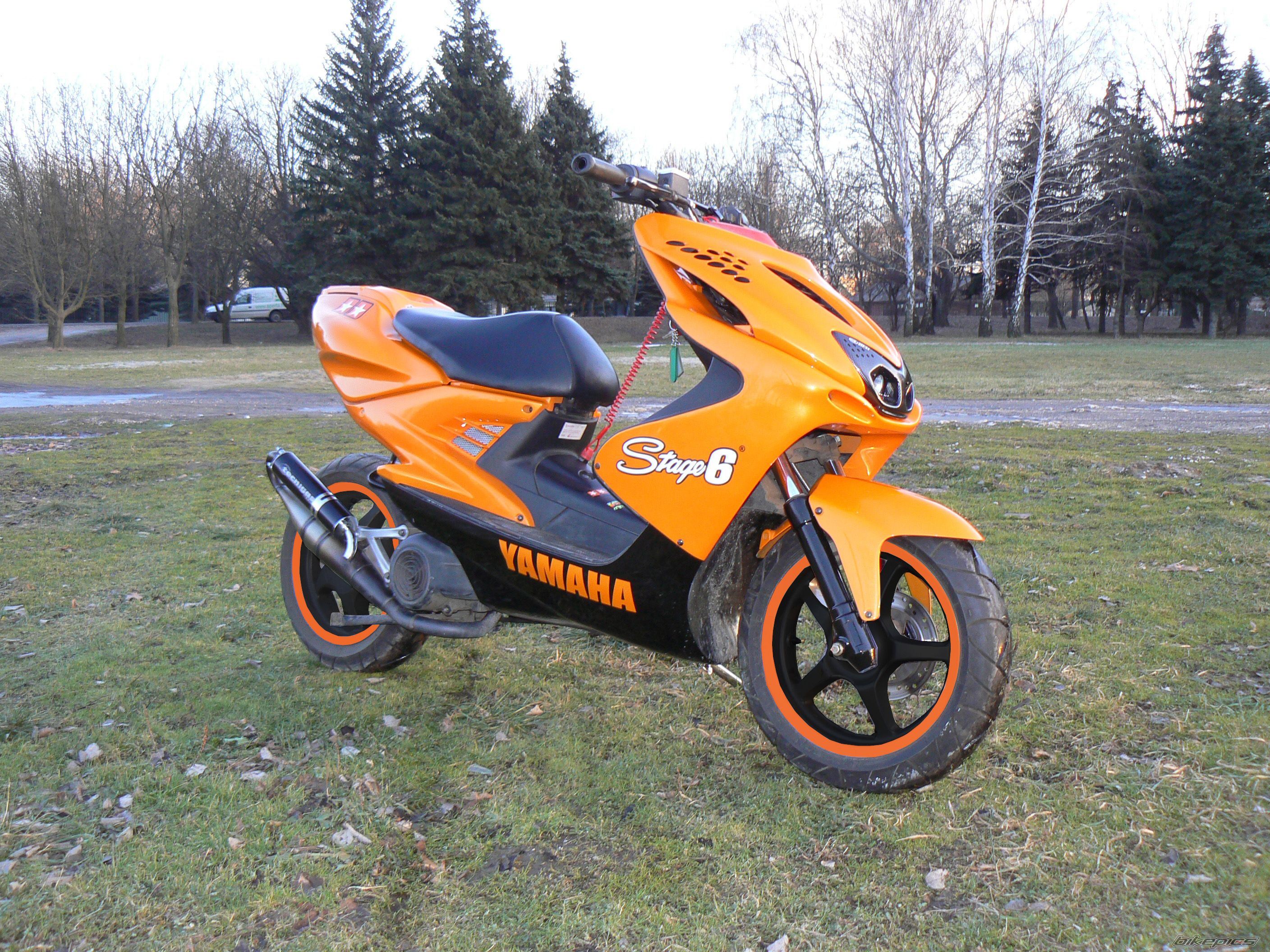 Photo 1547543