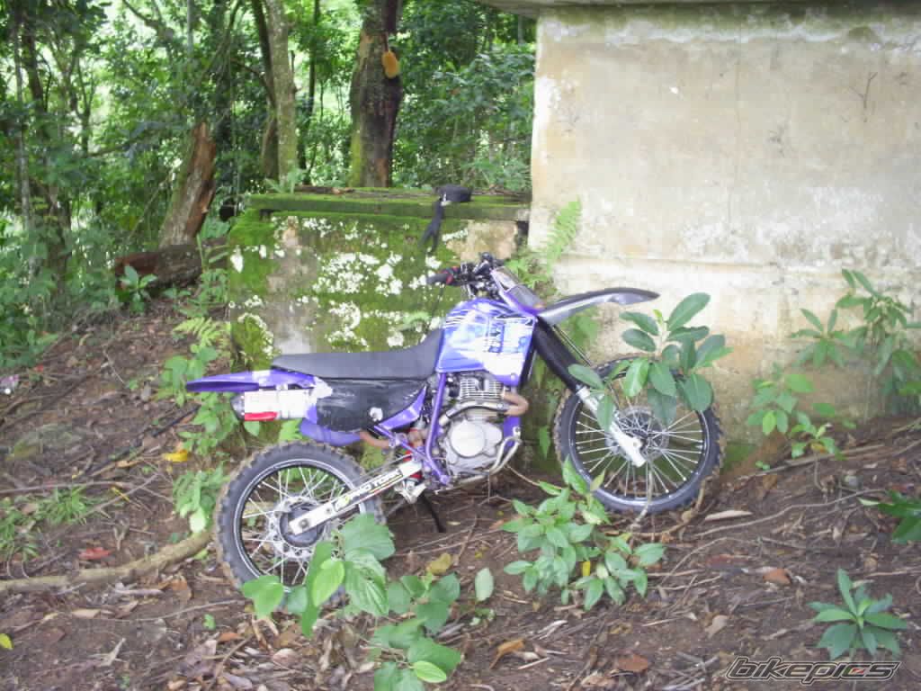 Bike Photo 1547545