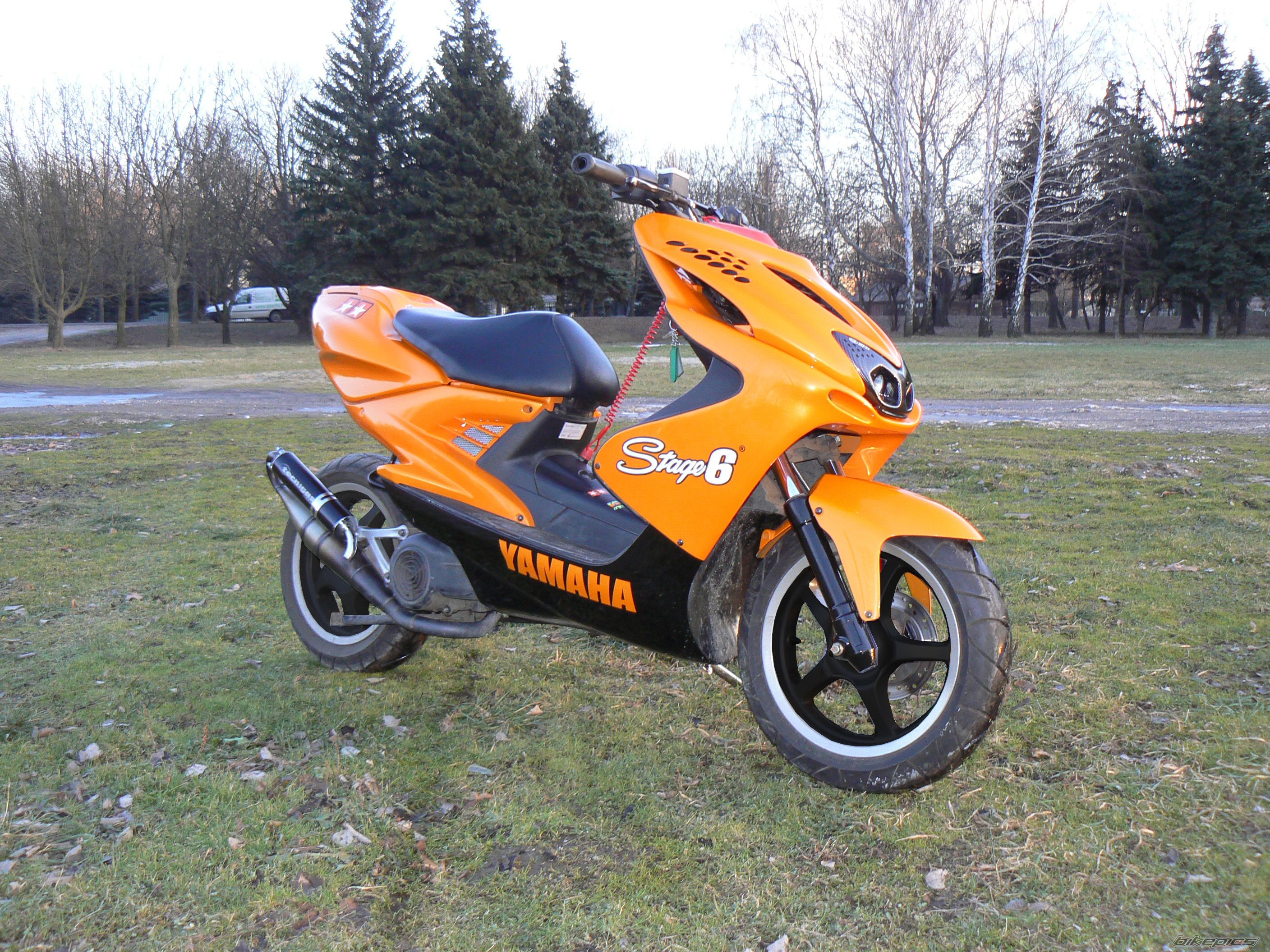 Photo 1547547